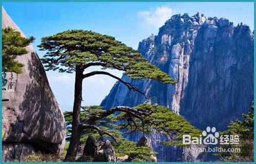 中国旅游景点排行